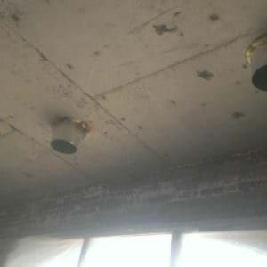 photo_2017-05-20_12-52-09