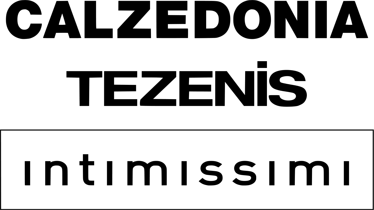 logo1619