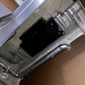 73505085_970502096663744_562270658739198718_n